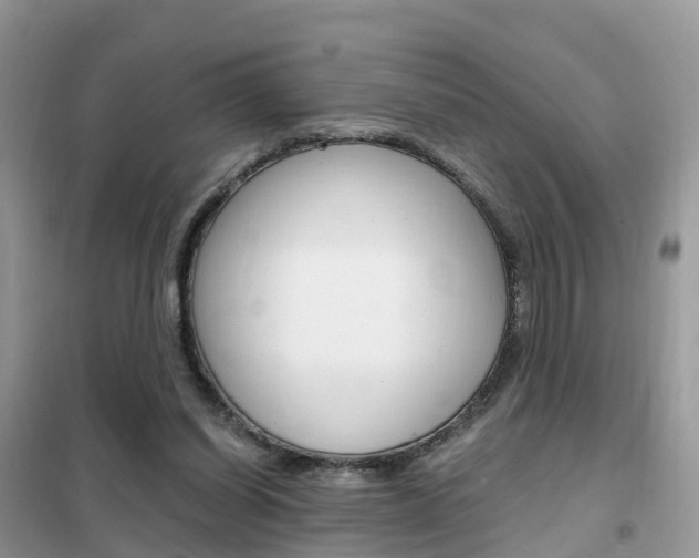 X0000102370254200808011030