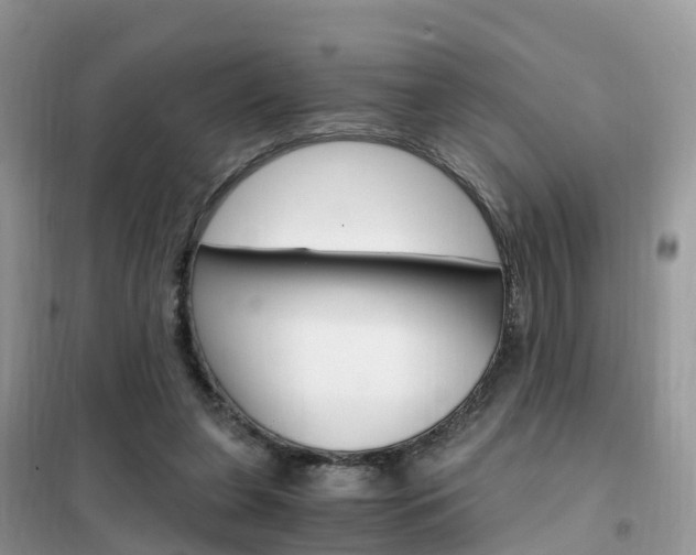 X0000102370255200808011030