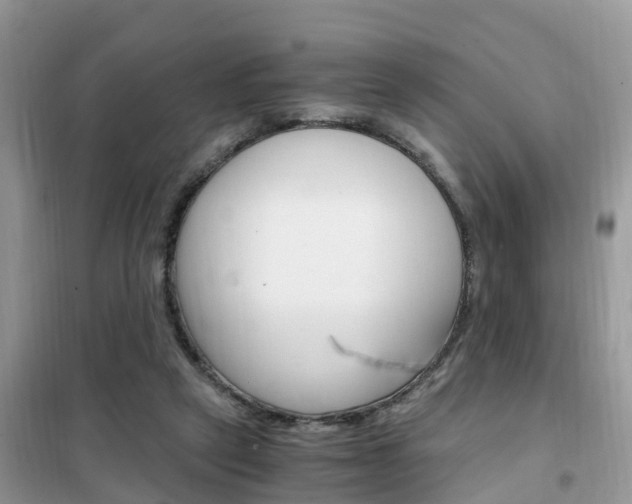 X0000102370257200808011030