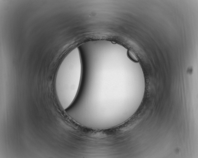 X0000102370258200808011030