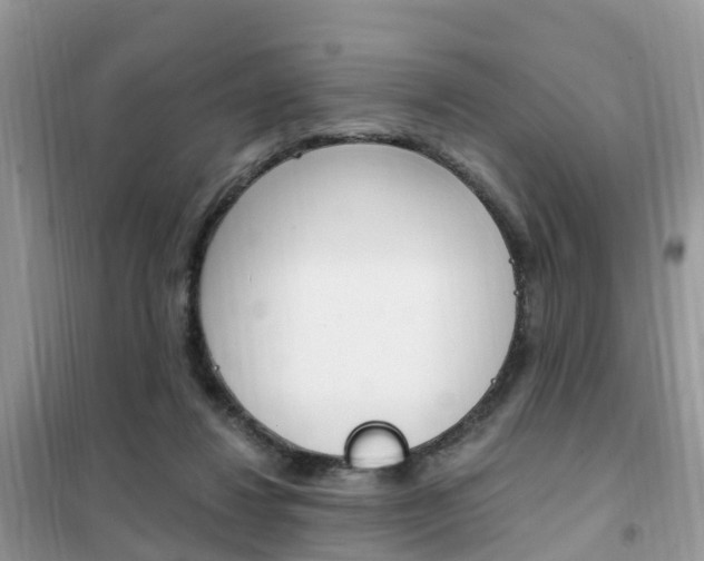 X0000102370260200808011030