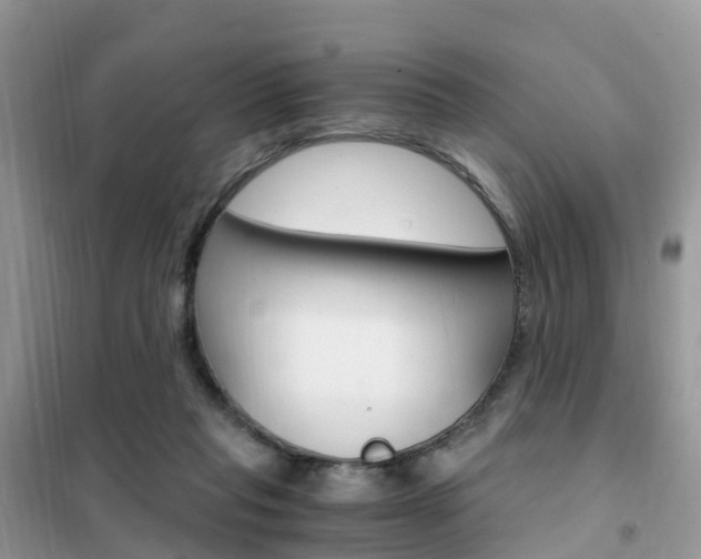 X0000102370261200808011031