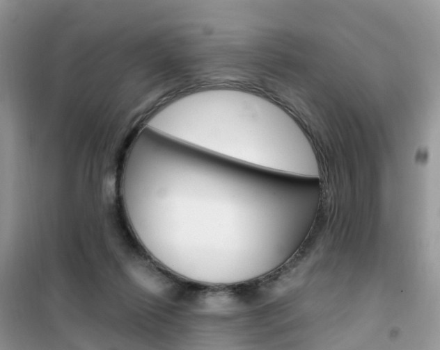 X0000102370262200808011031