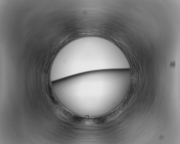 X0000102370264200808011031