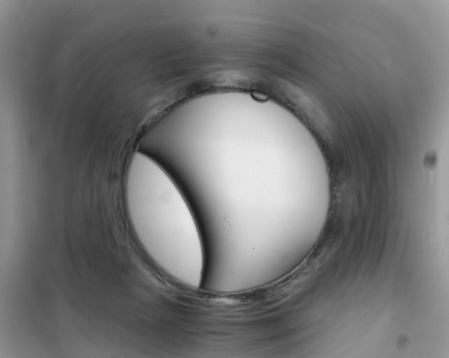 X0000102370265200808011031