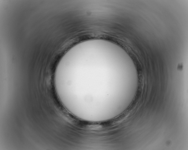 X0000102370266200808011031