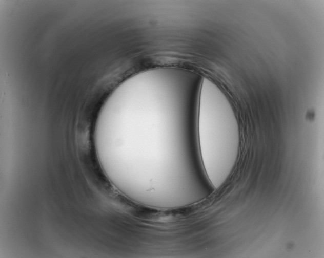 X0000102370267200808011031