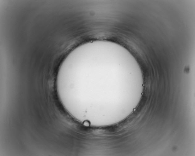 X0000102370268200808011031