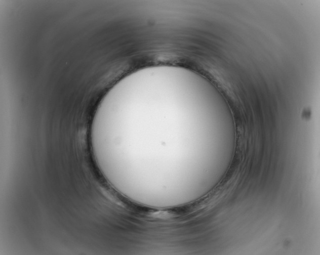 X0000102370269200808011031