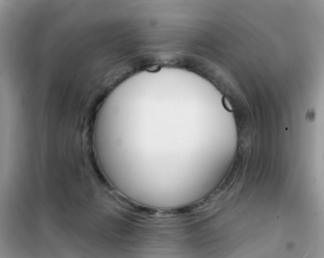 X0000102370270200808011031