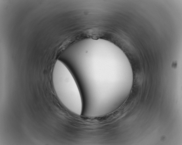 X0000102370271200808011031