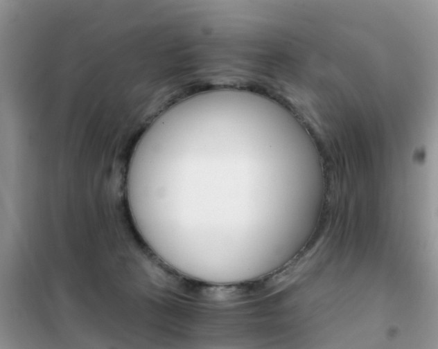 X0000102370273200808011031