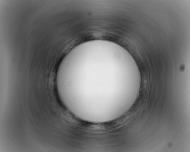 X0000102370275200808011031