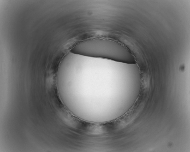 X0000102370276200808011031