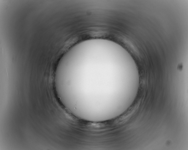 X0000102370277200808011031