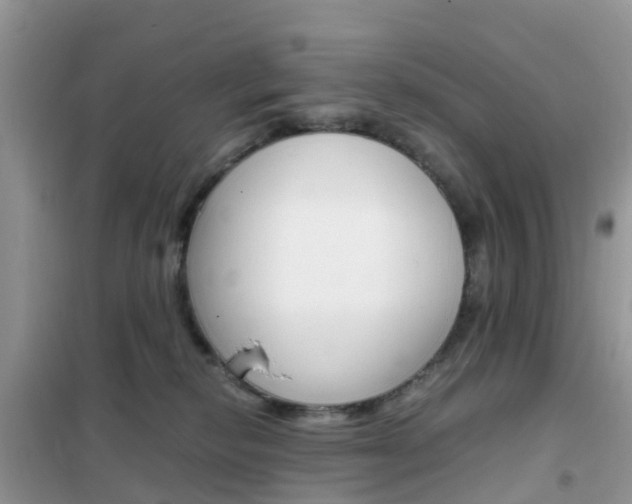 X0000102370278200808011031