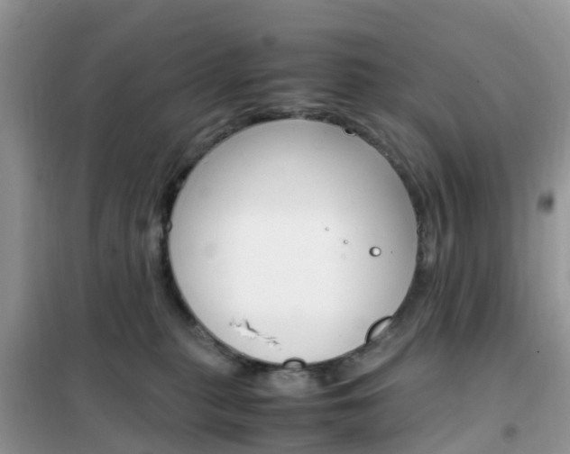 X0000102370279200808011031