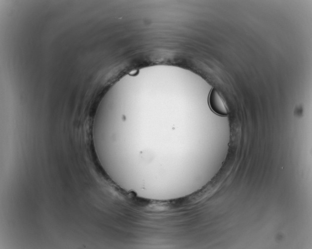 X0000102370280200808011031