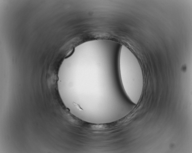 X0000102370281200808011031