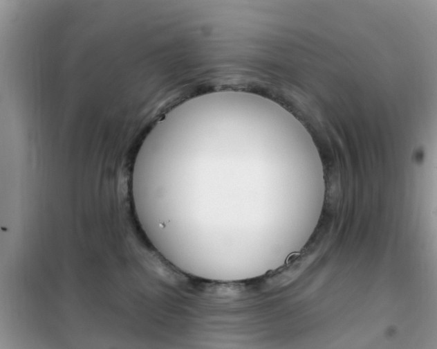 X0000102370282200808011031