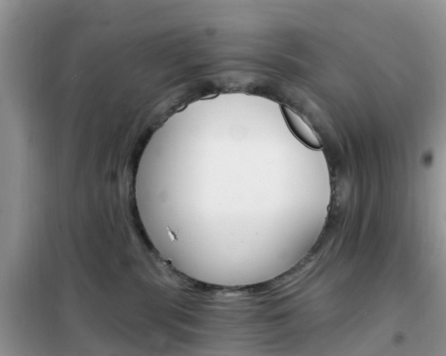 X0000102370283200808011031