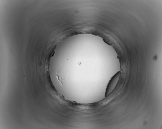 X0000102370284200808011031