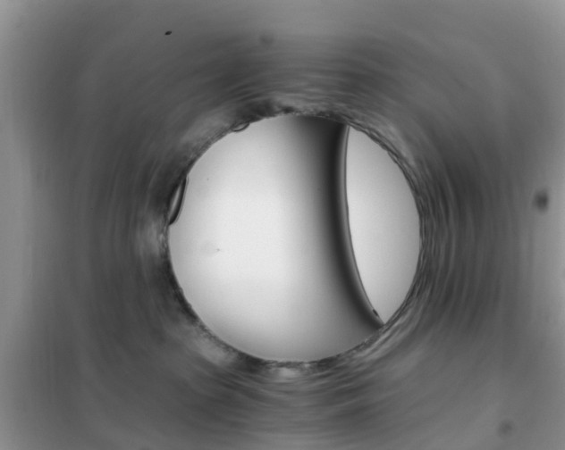 X0000102370285200808011031