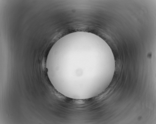 X0000102370287200808011031