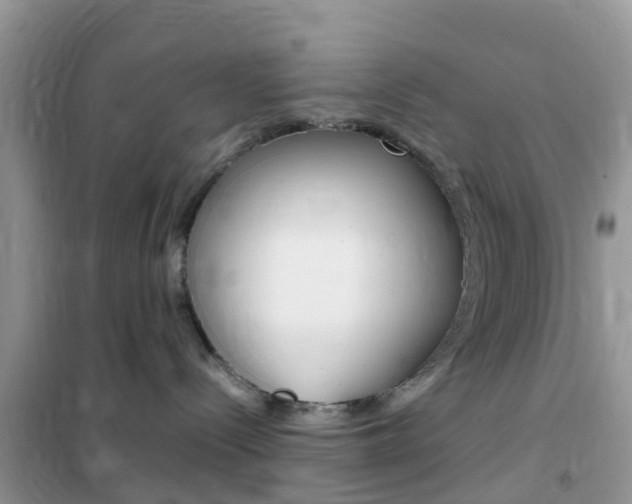 X0000102370288200808011031