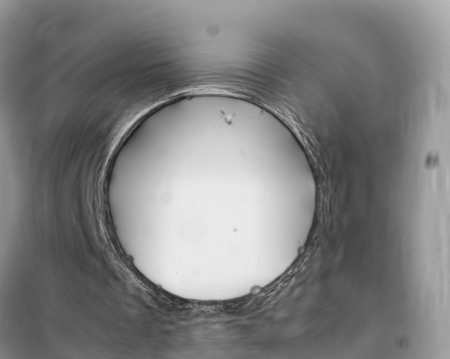 X0000102370289200808011030