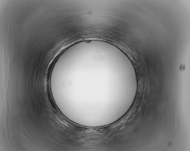 X0000102370290200808011030