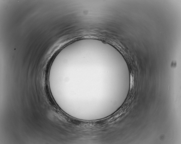 X0000102370291200808011030