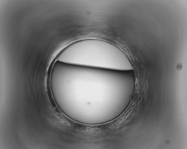 X0000102370292200808011030