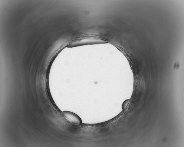 X0000102370293200808011030