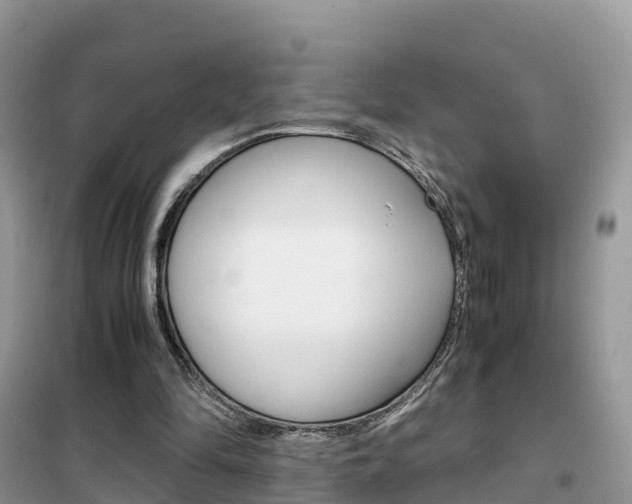 X0000102370294200808011030
