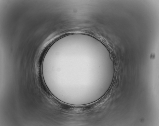 X0000102370295200808011030