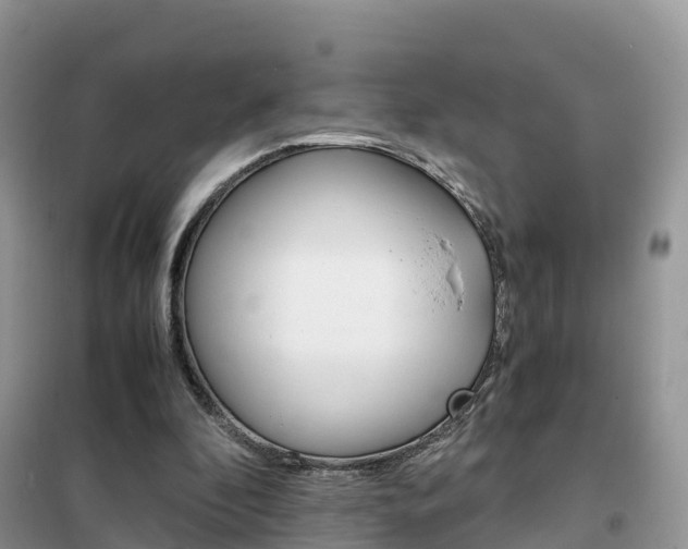 X0000102370296200808011030