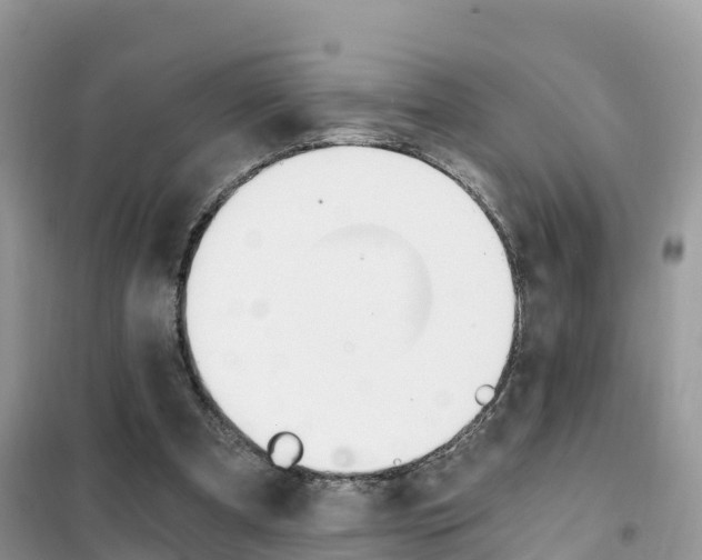 X0000102370297200808011030