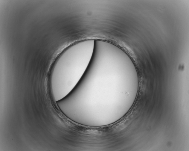 X0000102370298200808011030