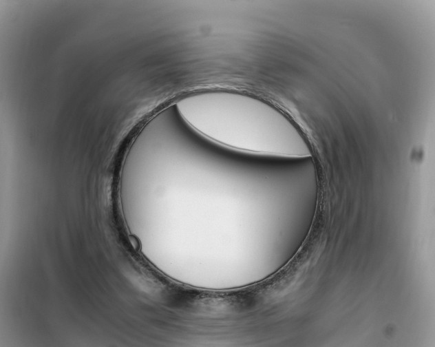 X0000102370299200808011030