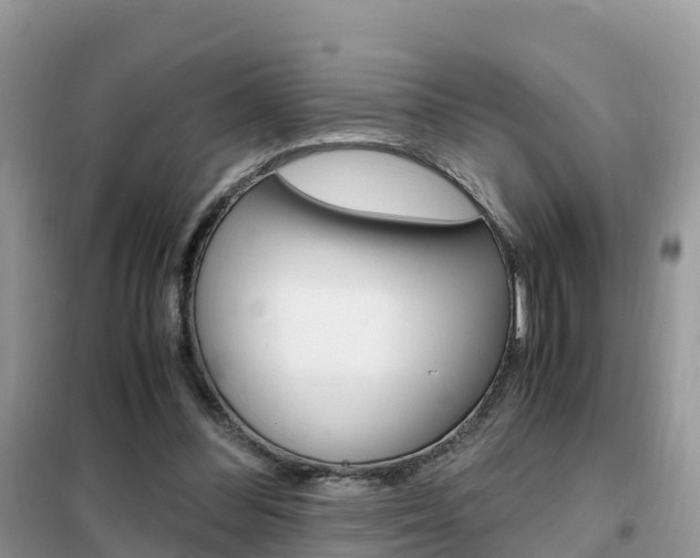 X0000102370300200808011030