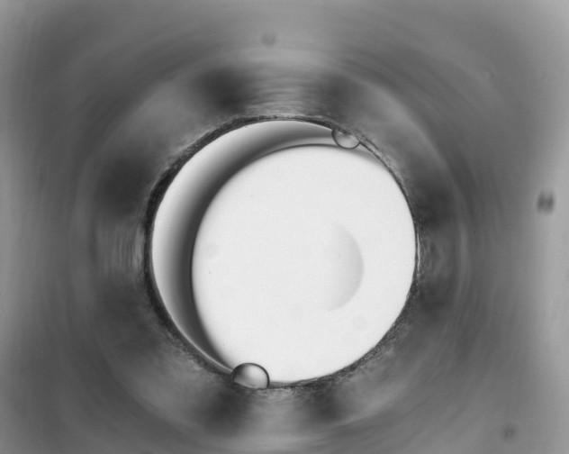 X0000102370301200808011030