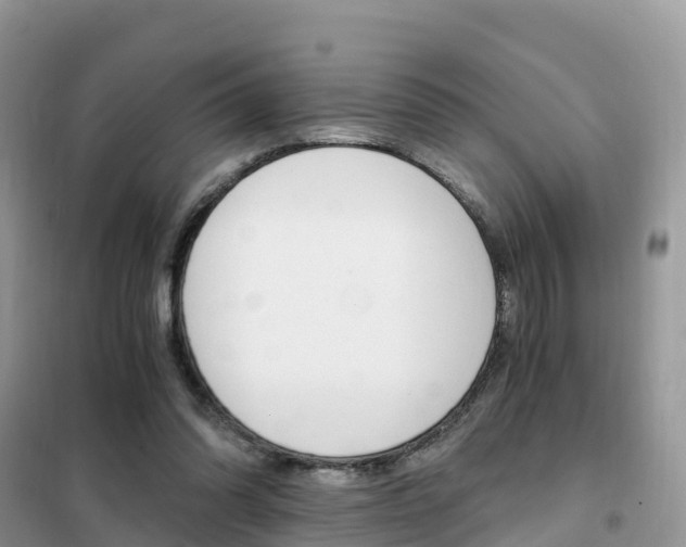 X0000102370302200808011030