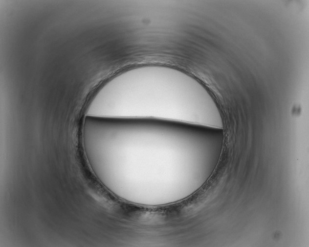 X0000102370303200808011030