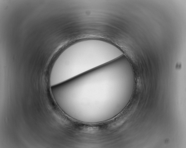 X0000102370304200808011030