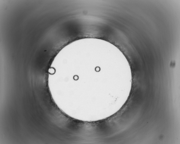 X0000102370305200808011030