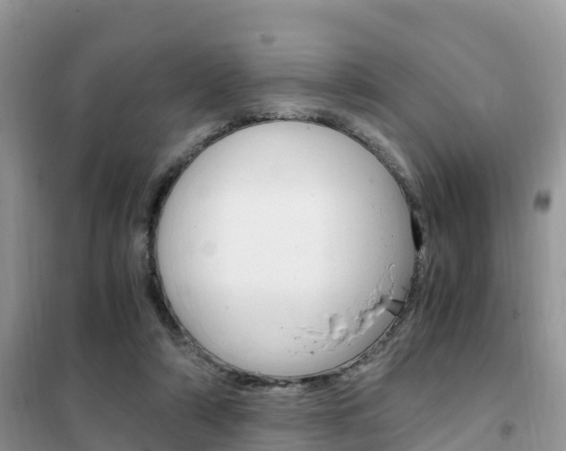 X0000102370306200808011030