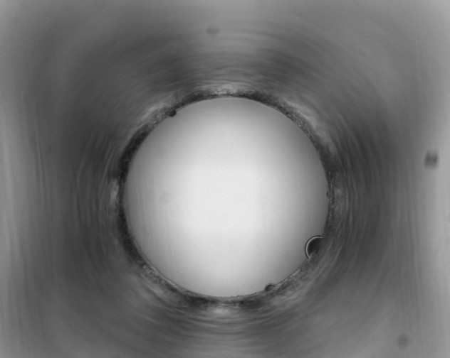 X0000102370308200808011030