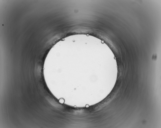X0000102370309200808011030