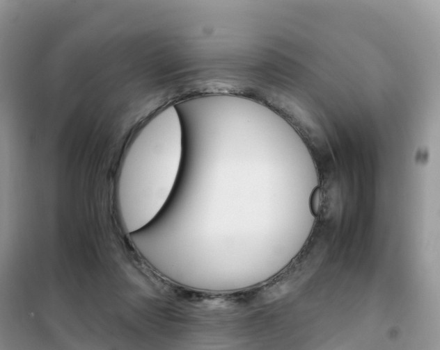 X0000102370310200808011030